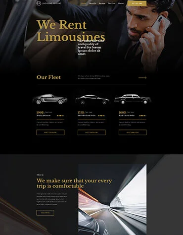 SEO portfolio project 03